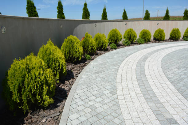 Best Permeable Paver Driveway  in Edgewater, MD